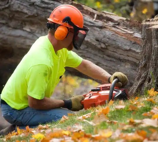 tree services Walker Mill